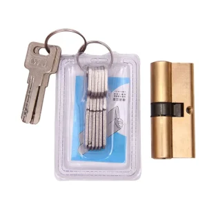 16-Pin Security Door Lock Cylinder Core with 2 Keys, Euro Profile
