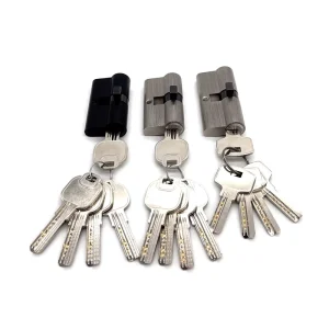 2300 Brass Door Lock Cylinder with 5 Keys