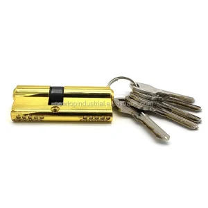 70mm Zinc Alloy Security Door Lock Cylinder with Double Lines Brass Computer Key 30 40mm Variations