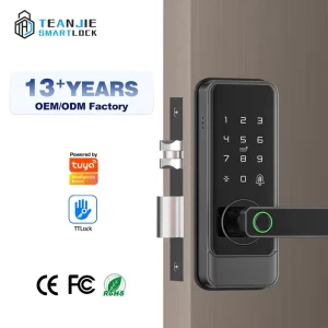 Aluminum Alloy Electronic Digital Door Lock with Fingerprint and Password