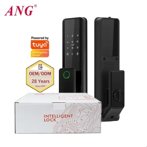 Aluminum Electronic Doorbell and Door Lock with RFID Card, WiFi, Remote Control, Fingerprint and Password Entry