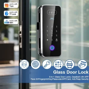 BR01 3D Face Fingerprint Recognition Stainless Steel Smart WiFi Electronic Glass Door Lock