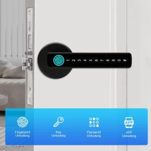 BZ01 Smart Lock for Stainless Steel and Steel Doors WiFi Enabled Electronic Keyless Door Handle Lock