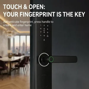 Baodeli Electronic Door Lock for Wood Aluminum Steel Bronze with Memory & WiFi Features Metal Body Zhejiang Origin