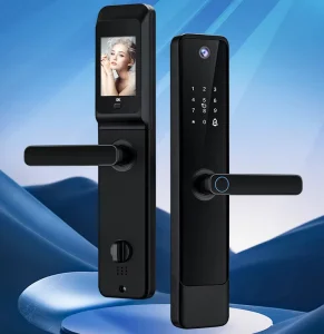 Biometric Fingerprint Password Wi-Fi Electronic Smart Door Lock with Camera