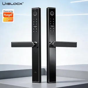 Black WiFi Smart Glass Door Lock with Mechanical Key for Outdoor and Indoor Use