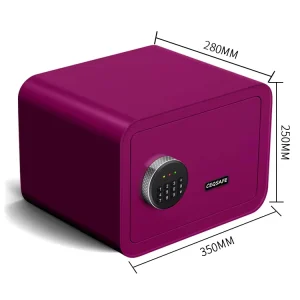 CEQSAFE Small Fingerprint Safe Box Electronic Digital Home Security Safe Box