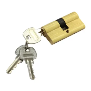 Copper Brass Zinc Master Key Security Door Lock Cylinder with Computer Key DSC01