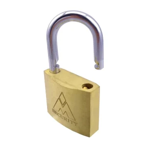 Custom Made Industrial Warehouse Door Storage with Brass Locks Satin Finish and 3 Keys