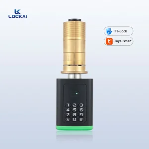 D2 Smart Biometric Electric Lock Password Card Key Code Unlock Tuya App Aluminum Alloy Grade C Wood Door