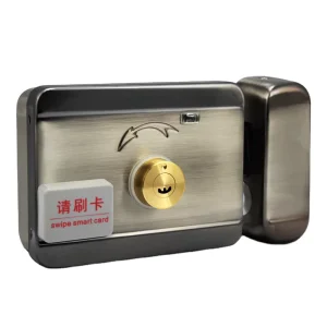 DC12V Durable Stainless Steel Smart Electronic RIM Lock Double Head Electric Door Lock Card Key Remote Unlock for Access Control