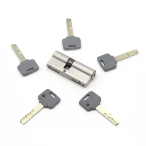 Door Brass Lock Cylinder Customized Size with 3 Keys 70mm Backset