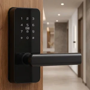 Door Password Digital Electronic Door Lock Password Key Temporary Password Smart Door Lock Digital Electronic Lock