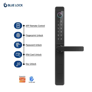 Double-Sided WiFi Digital Smart Lock with Remote Control, Fingerprint, Ultra-Slim Design and Keyless Entry