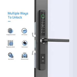 Electric Digital Door Lock with Fingerprint, App Control, Aluminum Alloy Construction, Card and Keyless Entry