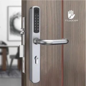 Electromagnetic Smart Door Lock for Wood and Steel Doors with Fingerprint Password Card Key and App Unlock