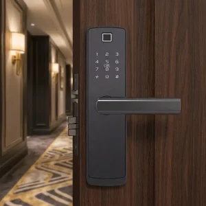 Electronic Digital Code Locks Aluminum Door Locks Stainless Steel Brass Door Smartlock with Wi Fi IP Network Password Key Unlock