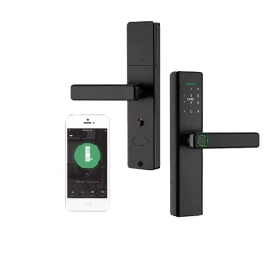 Electronic Digital Smart Door Lock with Biometric Fingerprint IC Card Password Key Unlock USB Emergency Charge APP