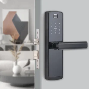 Electronic Door Lock Password Lock Biometric Fingerprint Automatic Smart Door Lock