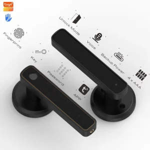 Electronic Fingerprint Smart Handle Door Lock with Keyless Entry