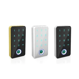 Electronic Keyless Cabinet Lock with App, Keypad, and Latch GL-CF01