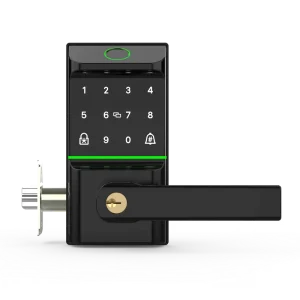 Electronic Smart Door Lock Handle Keyless Fingerprint Password App Remote Control