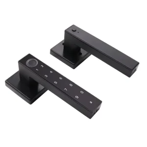 Electronic Smart Lock with Numeric Keypad App WiFi Biometric Fingerprint for Wood Doors, Bedrooms, Apartments, and Offices