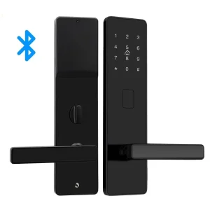 Electronic Stainless Steel Wood Door Lock with Card, Key, and App Control