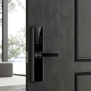 Electronic Waterproof Anti-theft Smart Door Lock for Apartments