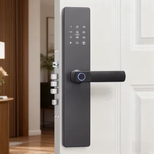 Electronic Zinc Alloy and Steel Keyless Access Lock with Remote Control and Fingerprint Recognition for Homes Offices and Commercial Use