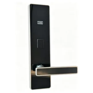 Embedded Smart Door Lock Stainless Steel Anti-Theft Access Control Lock for Home