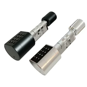 Euro Cylinder Keyless Adjustable Password Fingerprint Waterproof Smart Door Lock Cylinder