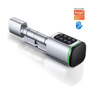 Euro Standard Adjustable Smart Cylinder Door Lock with Password, Card and Memory Card Compatibility for Wood Doors