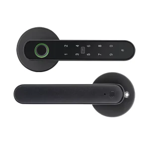 Factory Customizable Digital Electric Lock with Multiple Unlocking Methods and App for Main Entrance Doors