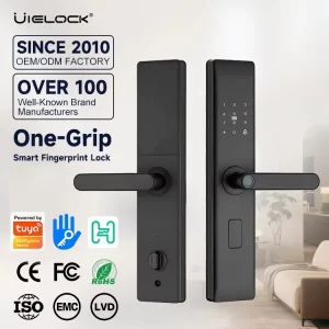 Factory Direct D1-9 Digital Smart Door Lock, Grade C, Cloud Storage, Multiple Unlocking Methods for Wood Doors