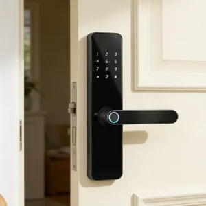 Fingerprint Door Lock with Password, Aluminum Alloy Construction, and App Remote Control