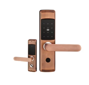 Fingerprint Electronic Door Lock with Password, Card, and Key Access for Home