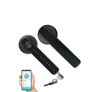 Five Function Digital Fingerprint Door Lock Electronic Password Key Smartlife Tuya APP Remote Unlock Bedroom Handle Smart Lock