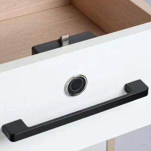 Furniture Fingerprint Lock Hidden Smart Drawer Lock for Indoor Cupboards