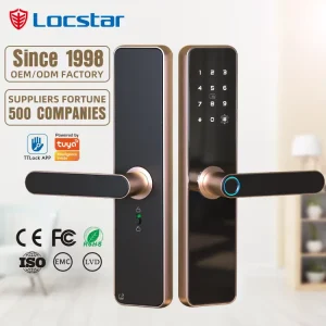 Gold Color Digital Smart Door Lock for Apartments with Remote Access