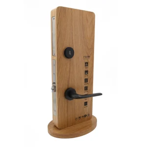 H-Type Card Key Smart Door Lock, Black Stainless Steel, Electronic RFID Induction Unlock