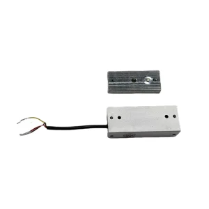 Heavy Duty 70KG 120lbs Keyless Smart Lock with Dual Voltage 12V 24V for Secure Commercial Industrial Doors