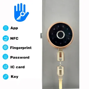 Home Indoor Room Door Smart Lock Zinc Alloy Fingerprint Password Lock Electronic Big Knob Ball Lock