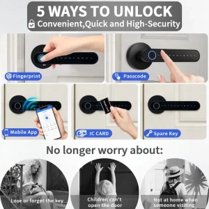 Intelligent Digital WiFi Ball Knob Lock Zinc Alloy Smart Home Entrance Door Fingerprint Code Card Key Recognition Bedroom