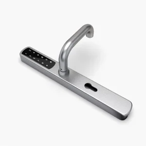 JIXIN Stainless Steel Smart Lock for Wood Steel Doors Memory Card Password Tuya App Control 18 Month Battery Life 200 000 Cycle