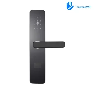 Luxury Smart Lock National Standard Engineering Lock Body Touch Password Card Black Powder Coated Anti Theft Lock for Home Villa