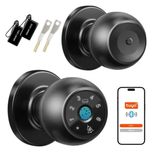 Manufacturer Direct Supply Tuya APP Fingerprint Entrance Door Security Home Mini Electronic Smart Lock