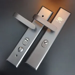 Modern Grey Stainless Steel Double Spring Door Handle Entry Door Thickened Panel Mechanical Door Lock Ambidextrous
