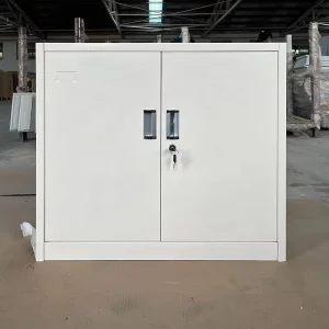 Modern Premium Customized Color Cold Roll Steel 2 Door Modular Durable Shoe Cabinet Space Saving Home Furniture Bedroom Living
