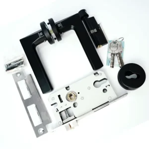 Modern Style Home Office Safe Digital Cylinder Tuya Smart Entrance Parts Door Handle Lock Body Set